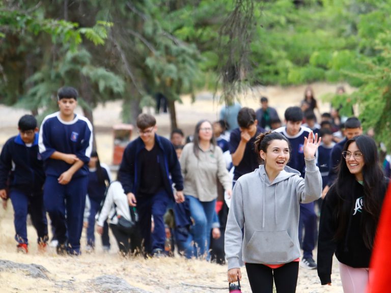 Conmemoran día internacional de la eliminación de la violencia contra la mujer en Curicó
