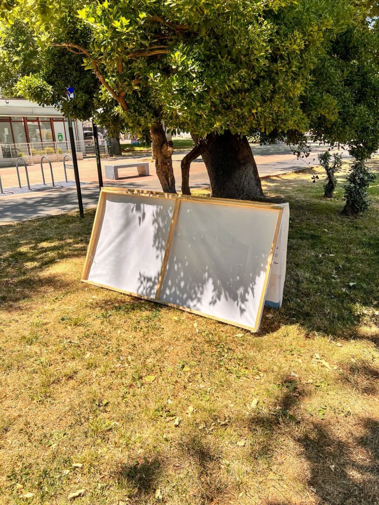 Dirección de Gestión Ambiental de la Municipalidad de Curicó hace llamado a los candidatos a donar palomas en desuso