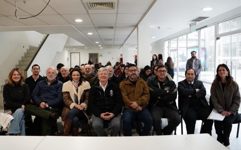 Municipalidad de Curicó presentó Subsidio a la Contratación “Línea de Activación Laboral”