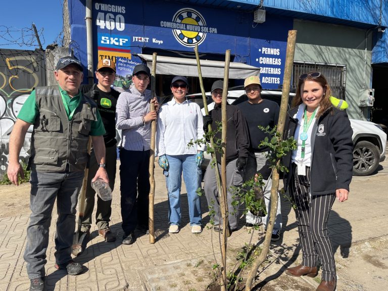 Municipio de Curicó inicia la tercera etapa de arborización en el casco histórico con la plantación de 91 nuevos árboles nativos